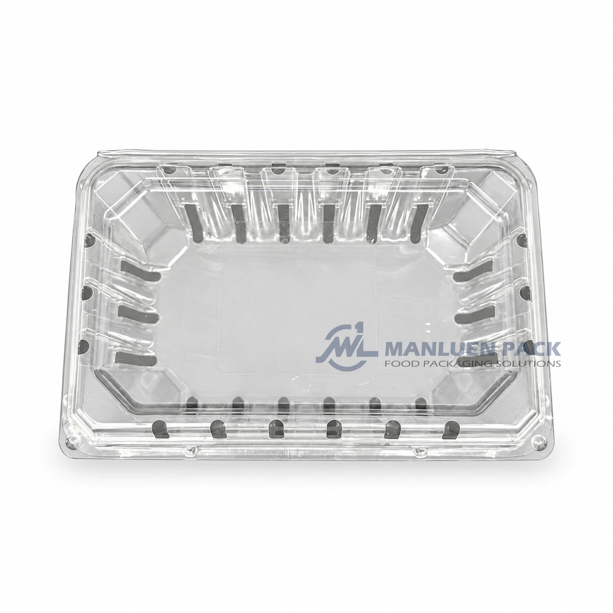 500c1 Unlabeled Clear Unlabeled Rectangular Berry Clamshell Container Product View 01