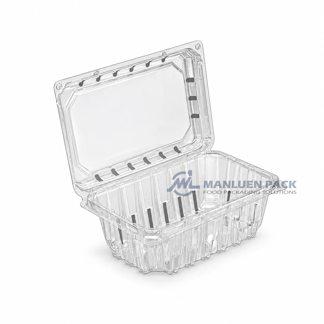 ML-500C1 Large Clear PET Hinged Clamshell Blueberry Container 3 ML-500C1 transparent rectangular PET hinged clamshell food container product view