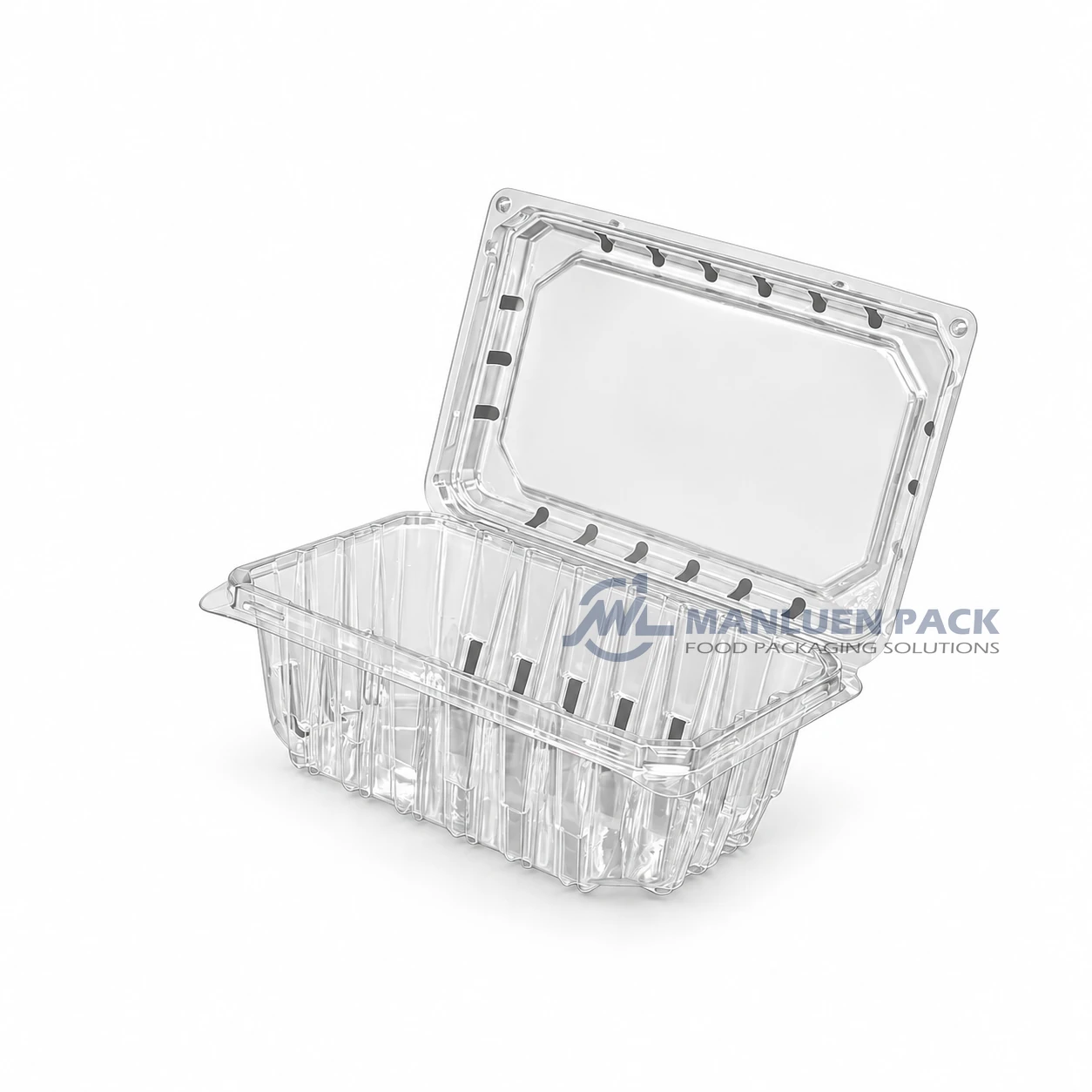 500c1 Unlabeled Clear Unlabeled Rectangular Berry Clamshell Container Product View 04