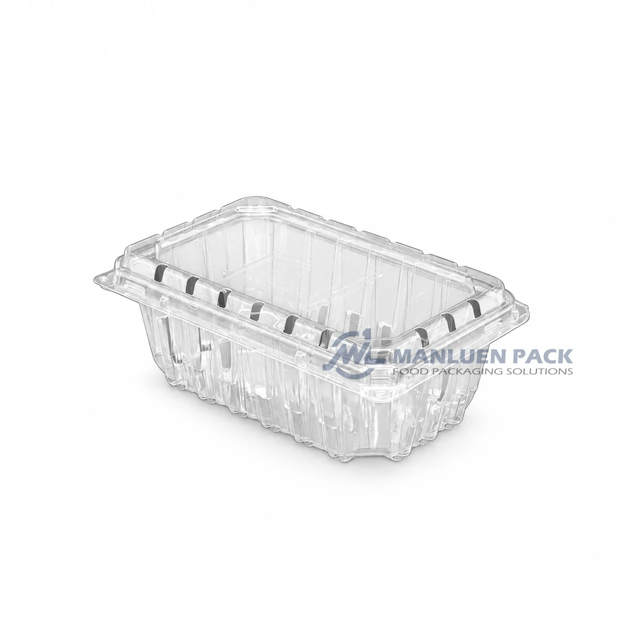 500c1 Unlabeled Clear Unlabeled Rectangular Berry Clamshell Container Product View 06