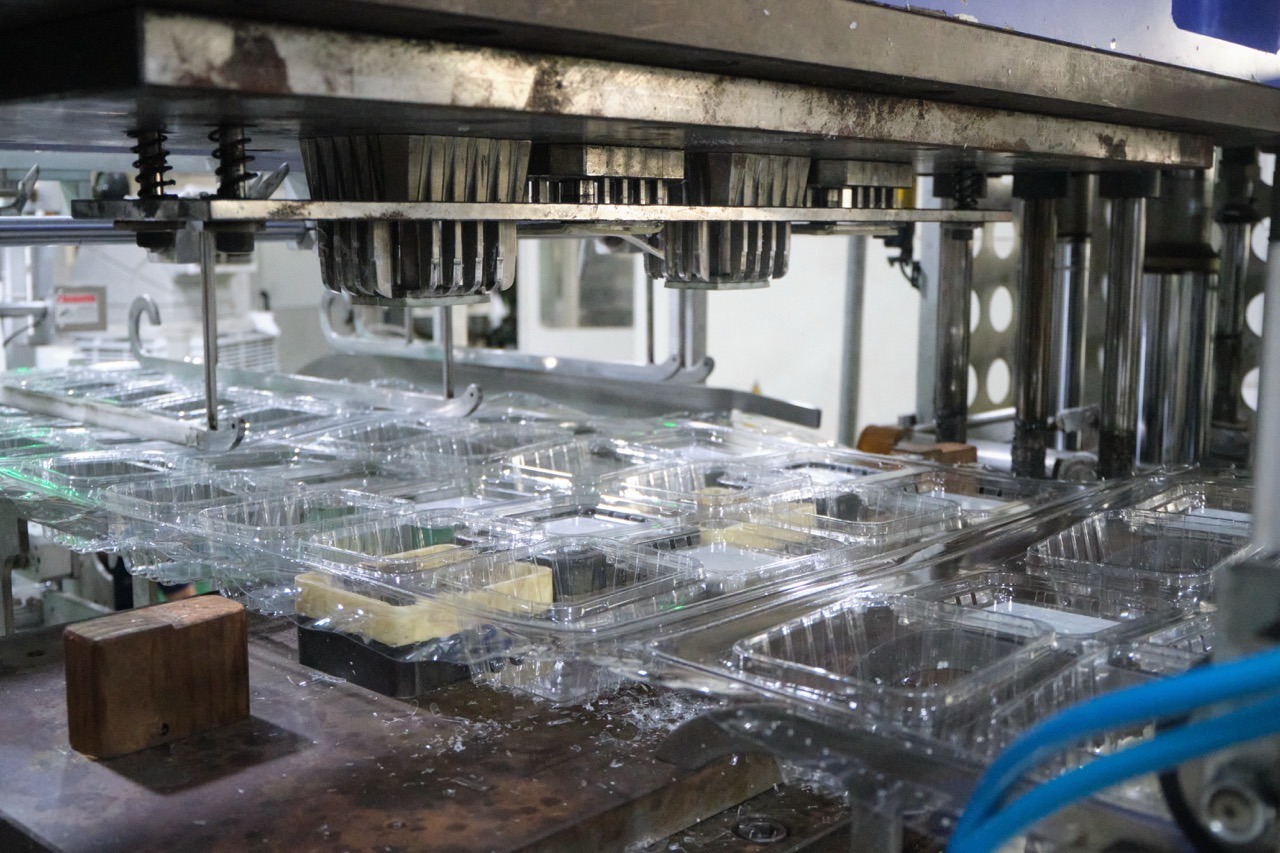 Clamshell Plastic Food Container Thermoforming Production Line