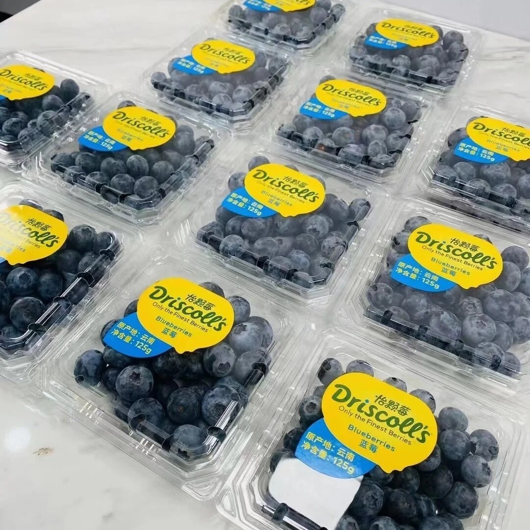 ML-125C1 Clear PET Hinged Clamshell Blueberry Container 1 ML-125C1 mini clear PET hinged clamshell container with open lid front view