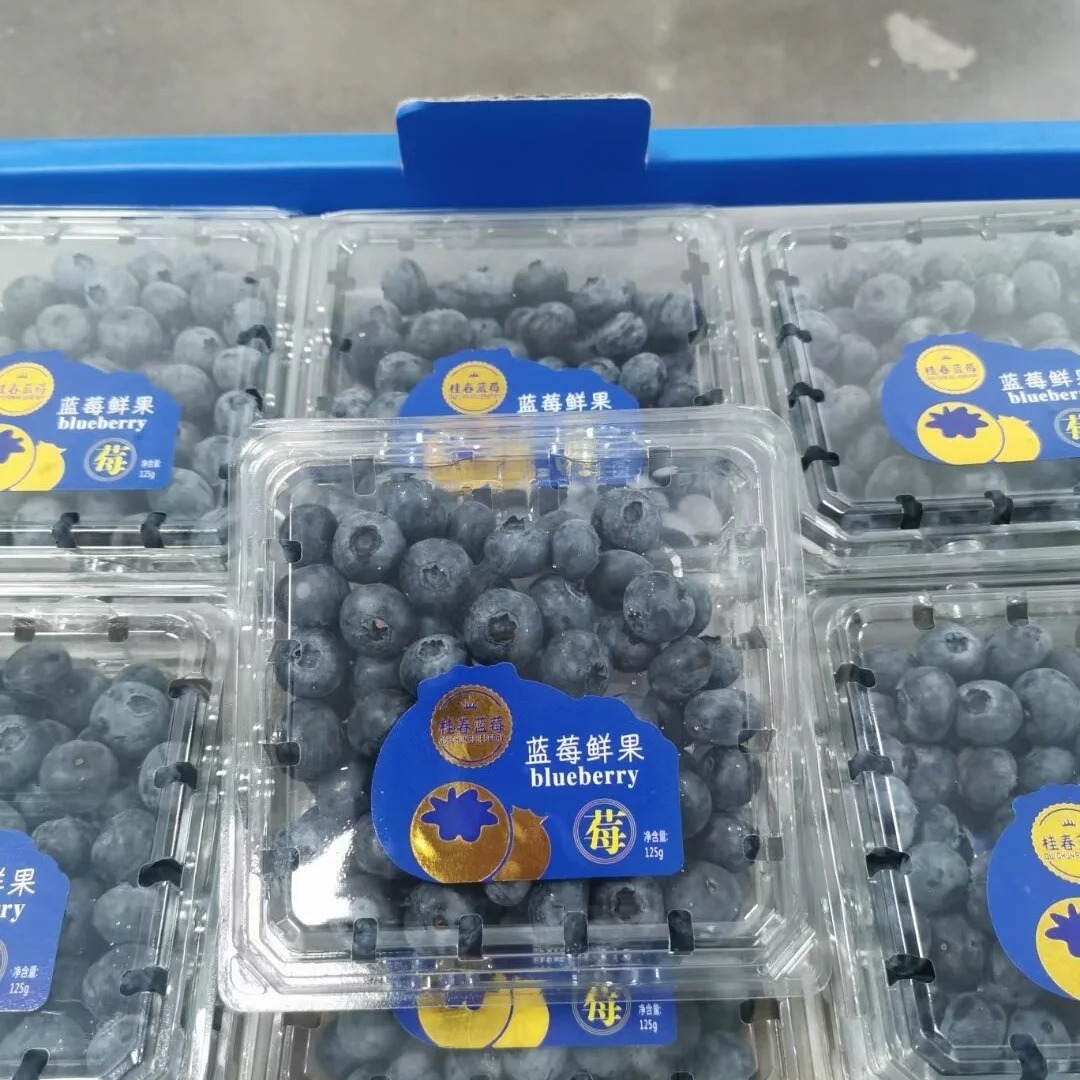 ML-125C1 Clear PET Hinged Clamshell Blueberry Container 3 ML-125C1 transparent rectangle clamshell container closed angled view for takeaway food packaging