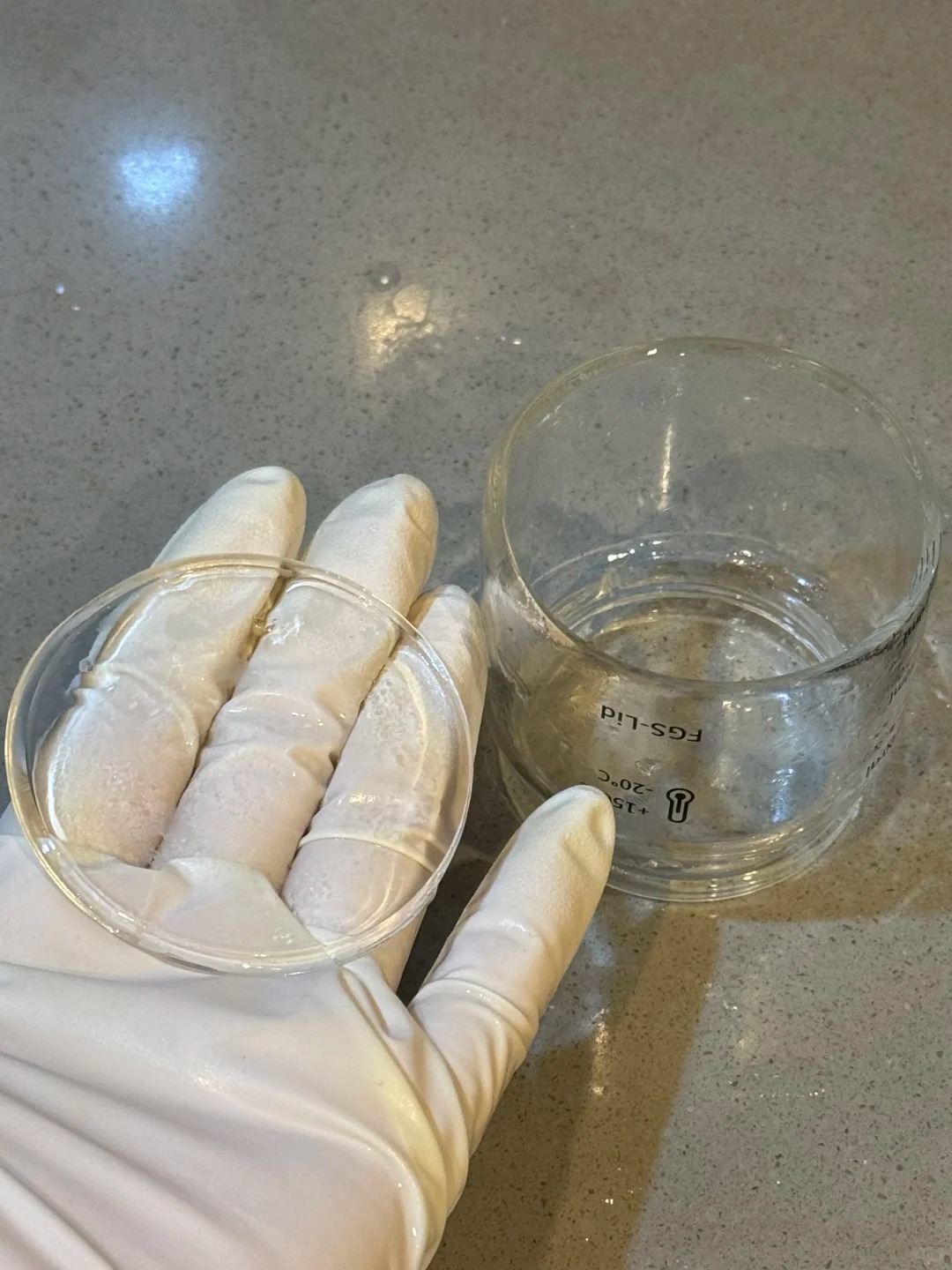 Can You Freeze Food in a Glass Container Safely? 8 Broken Glass Lid And Container