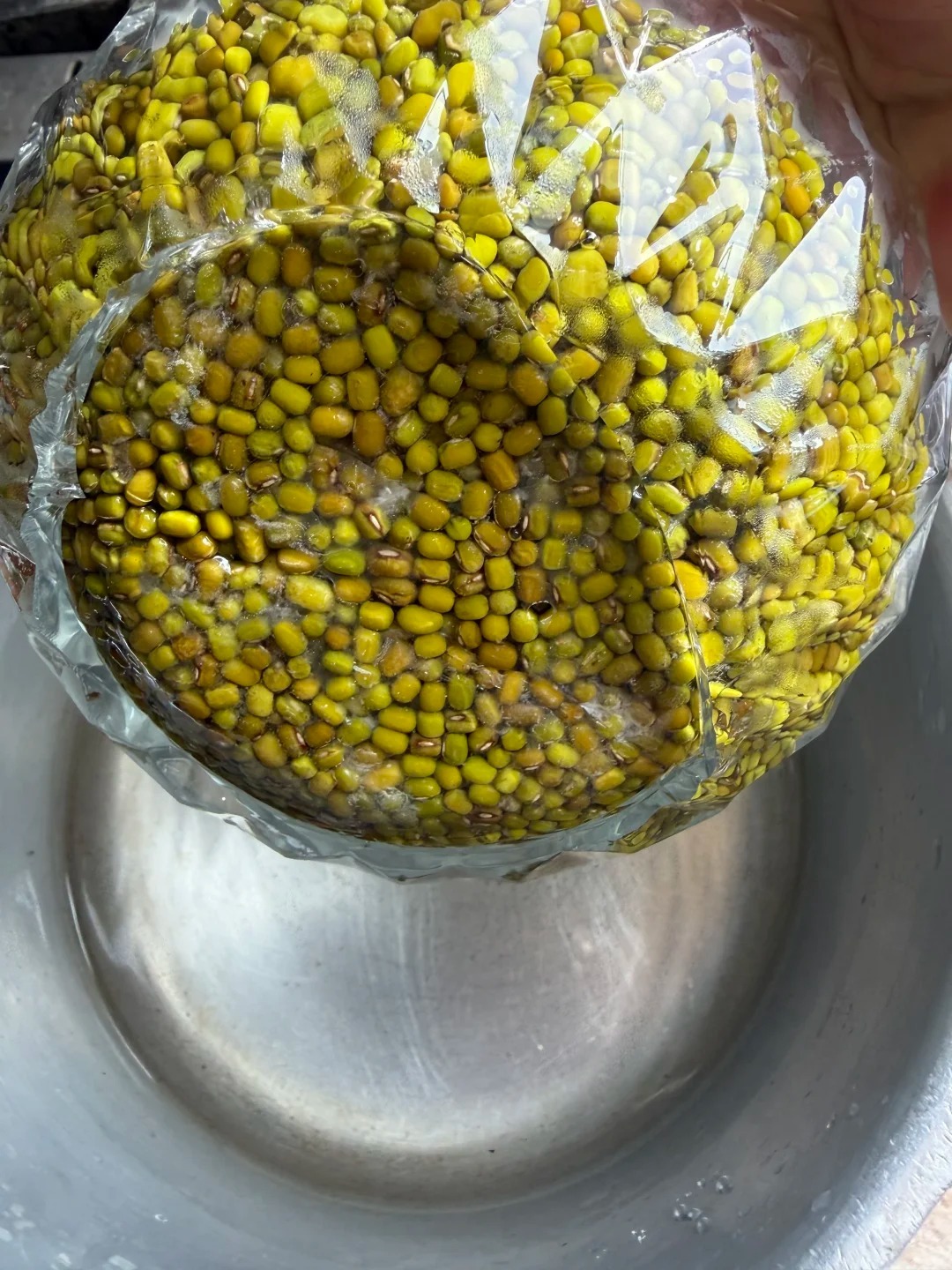Can You Freeze Food in a Glass Container Safely? 4 Frozen Beans In Broken Glass Container