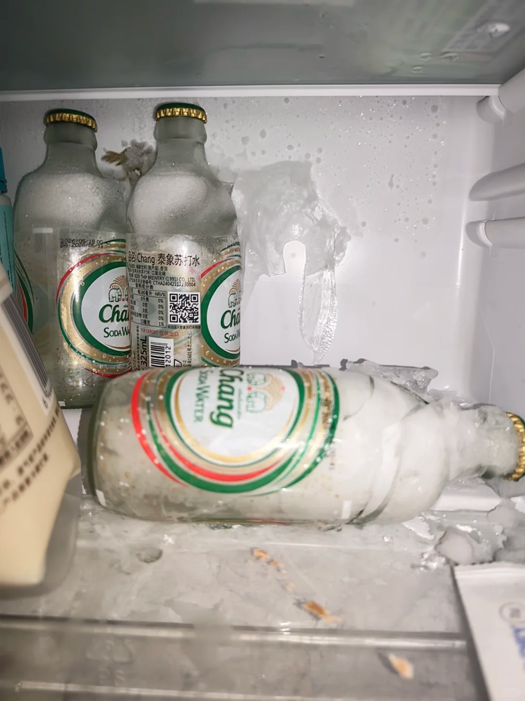 Can You Freeze Food in a Glass Container Safely? 2 Glass Bottles Frozen In Freezer