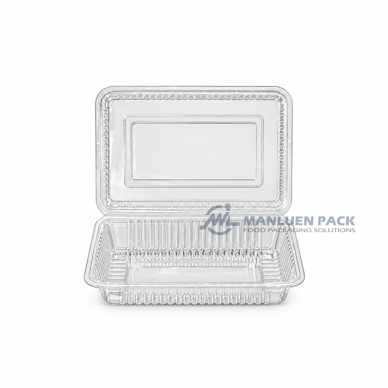 WL-1H Disposable Clear Rectangular Hinged Deli Container 1 WL-1H small clear rectangular hinged plastic clamshell deli container product view