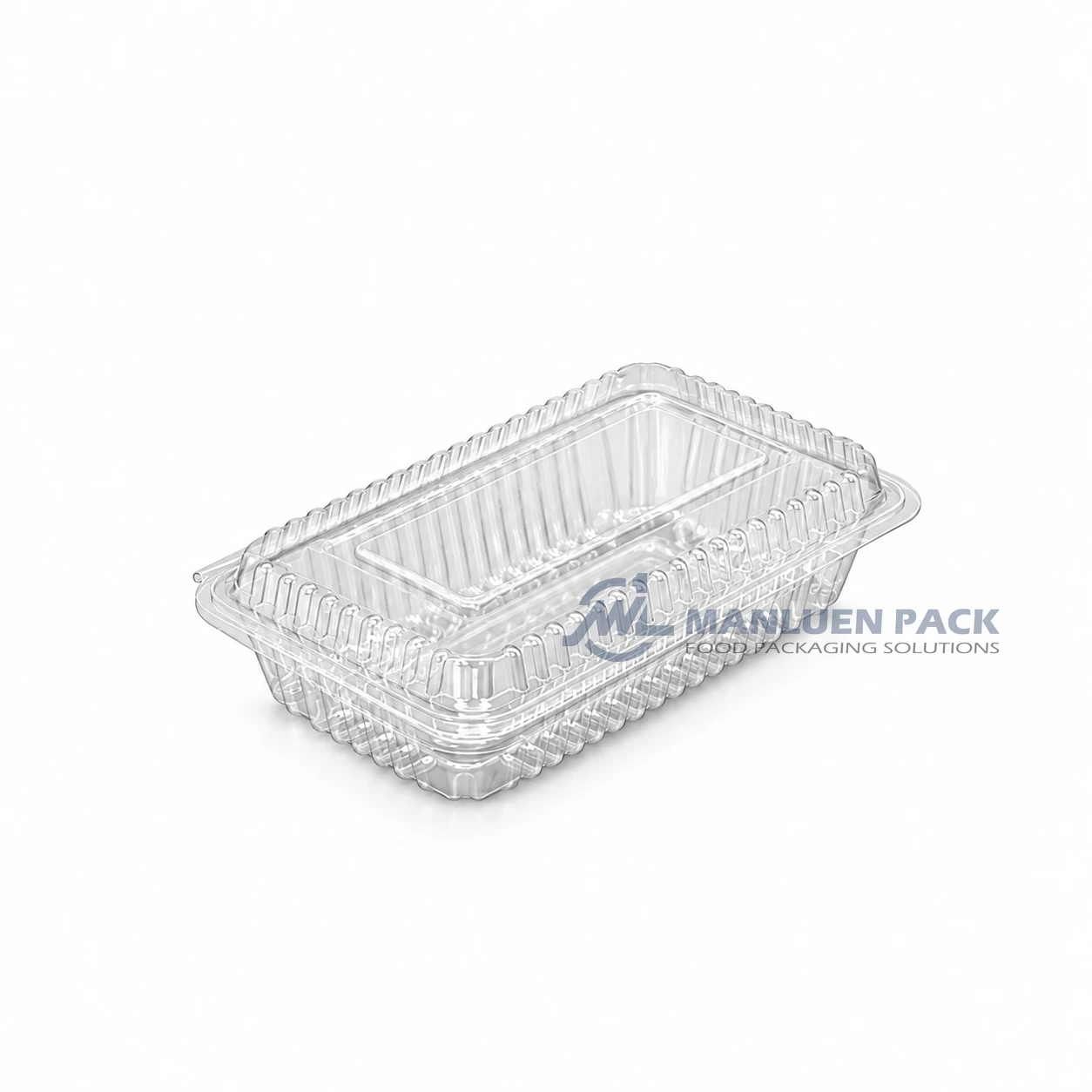 WL-2H Disposable Clear Rectangular Clamshell Food Togo Container 2 WL-2H transparent rectangular clamshell tray for fruit salad and sandwich food packaging