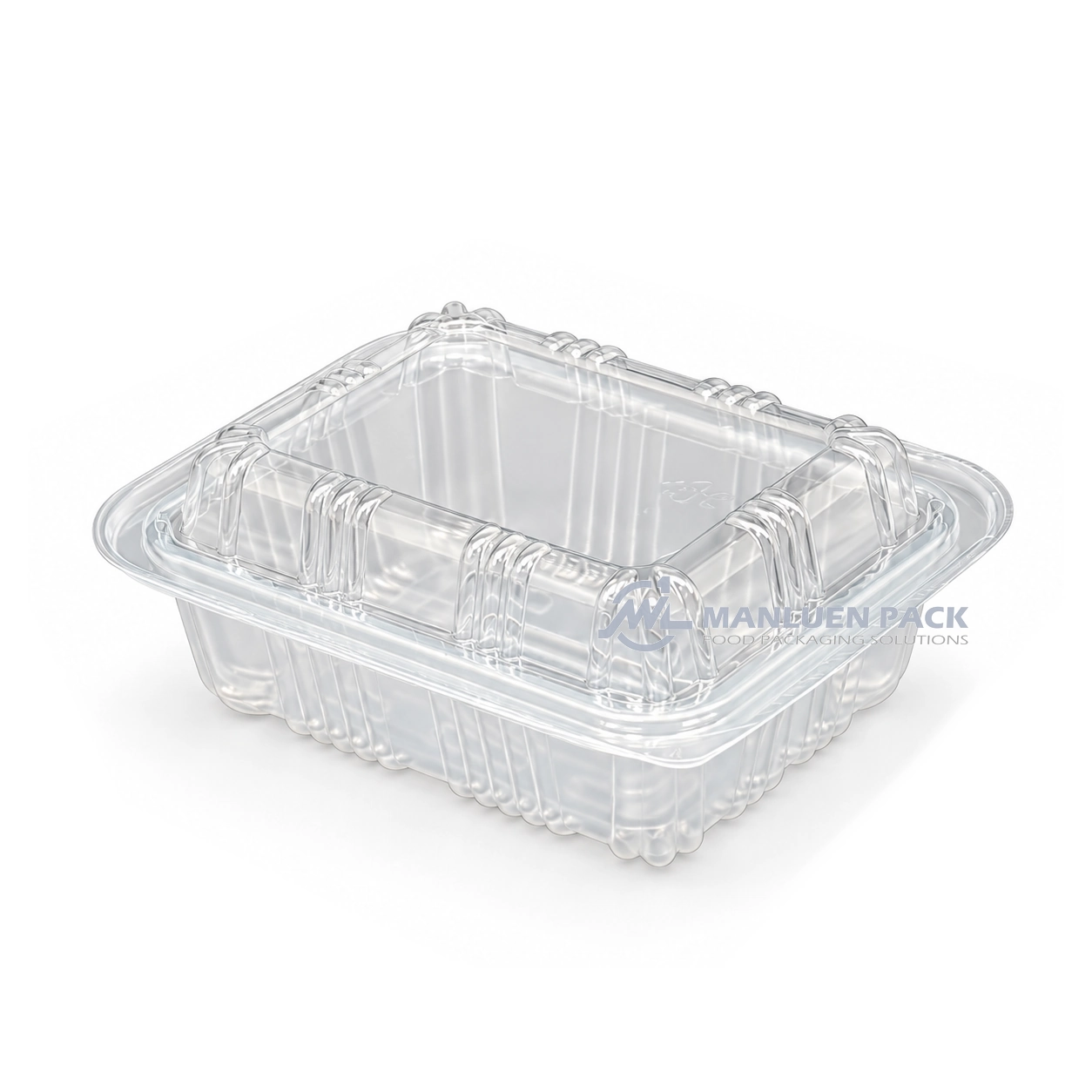 Wl 905 Plastic Bento Box Raised Cover